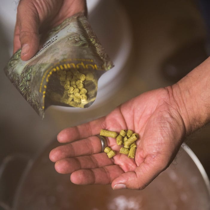 Hops being poured from a pouch for men's DIY gift.