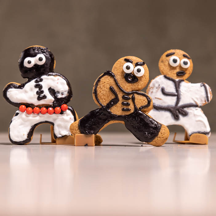 Gingerbread Dojo Kit